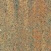 sahara sahara